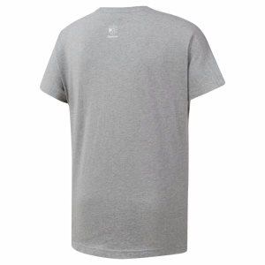 Reebok Classic Graphic T Shirt Herren - Grau - DE 287-HQF